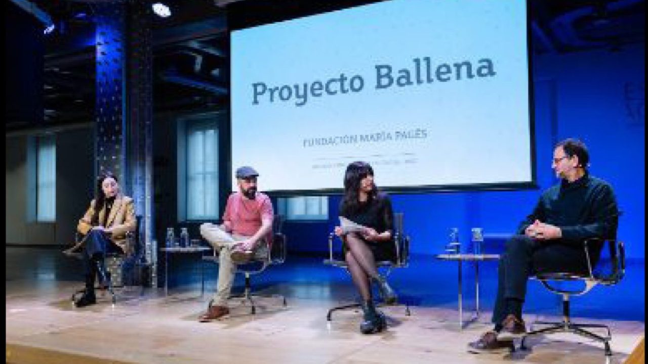 PROJECT WHALE. BEST CULTURAL AND CREATIVE INDUSTRIES PROJECTS 2021