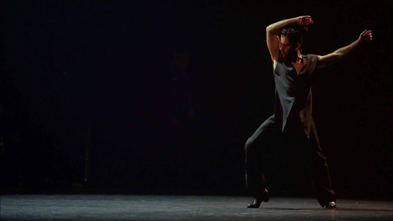 EL FLAMENCO, UNA UTOPÍA DEL BUEN LUGAR || DÍA INTERNACIONAL DEL FLAMENCO